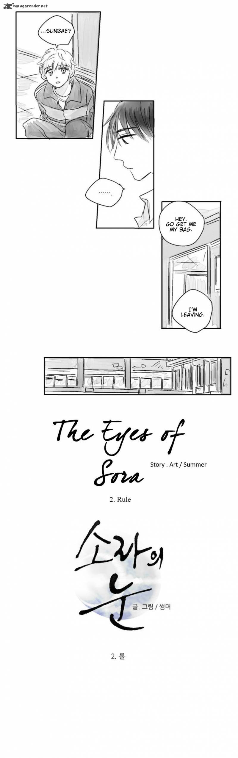 The Eyes Of Sora 2 4