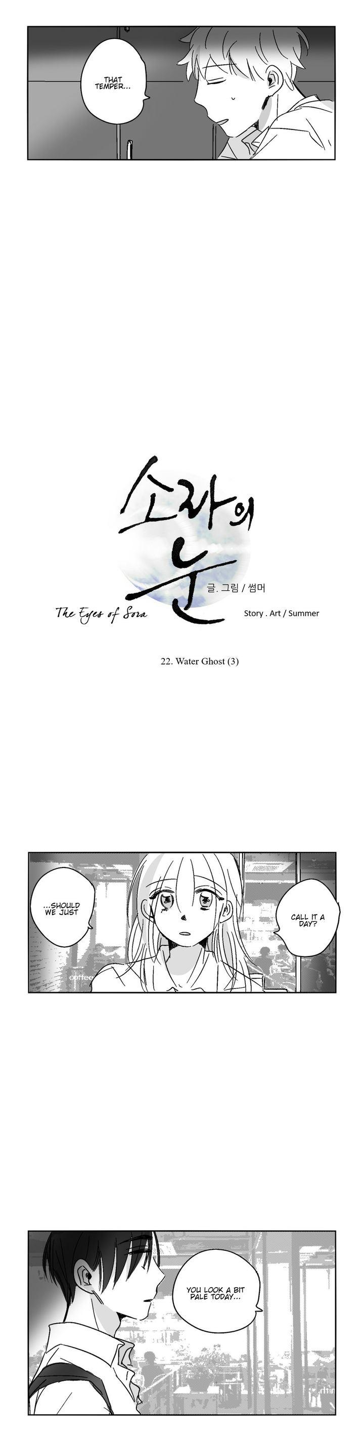 The Eyes Of Sora 22 5