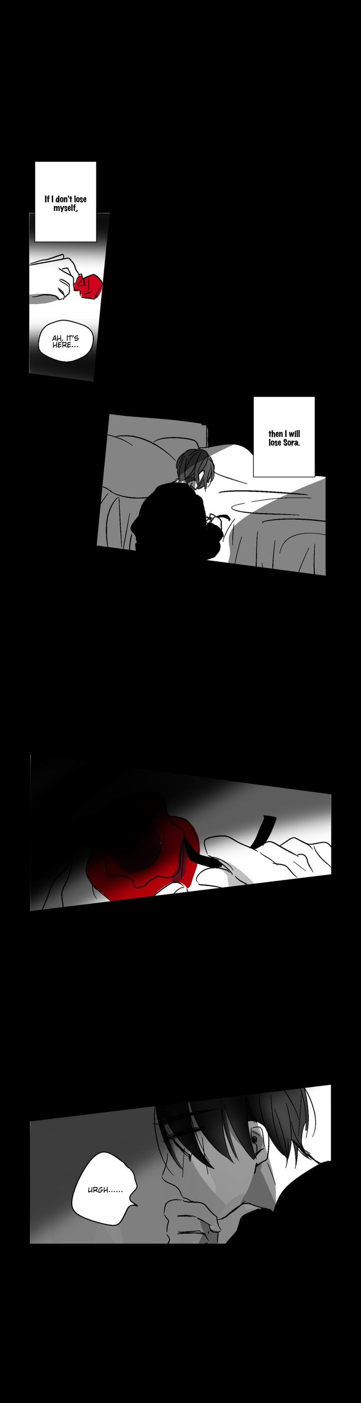 The Eyes Of Sora 29 14
