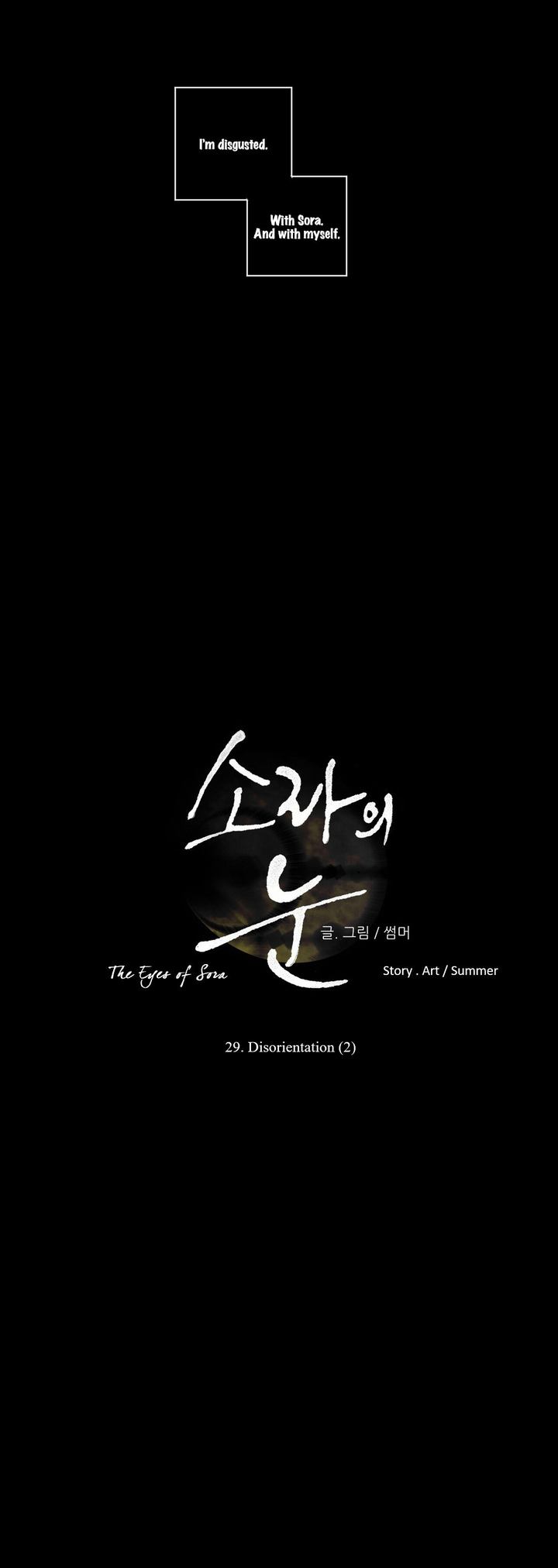 The Eyes Of Sora 29 17
