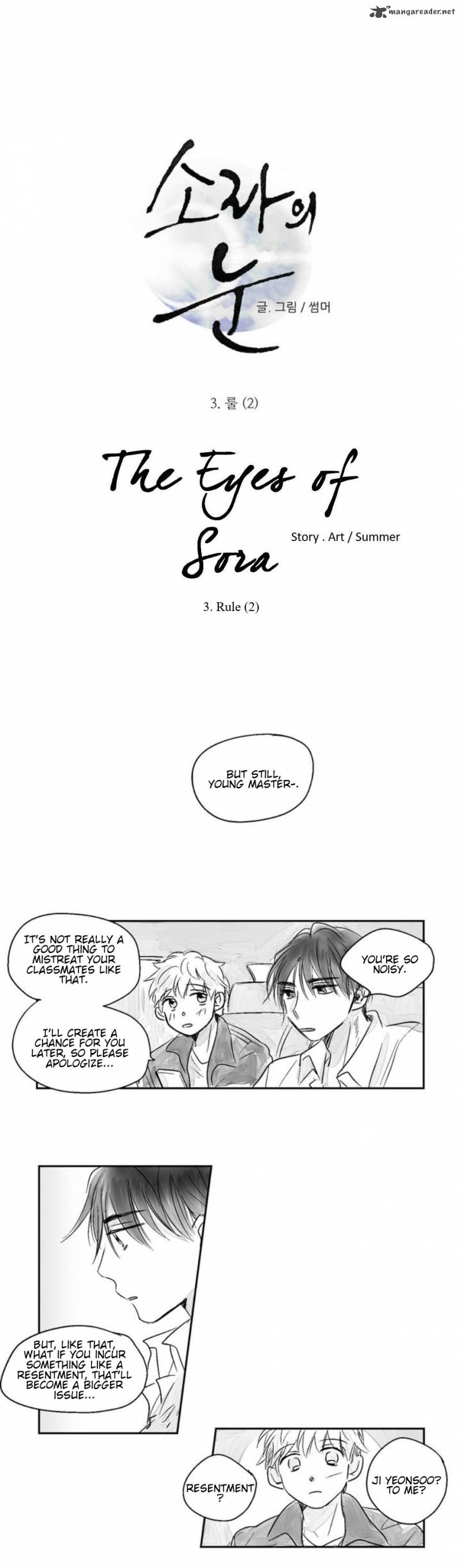 The Eyes Of Sora 3 1