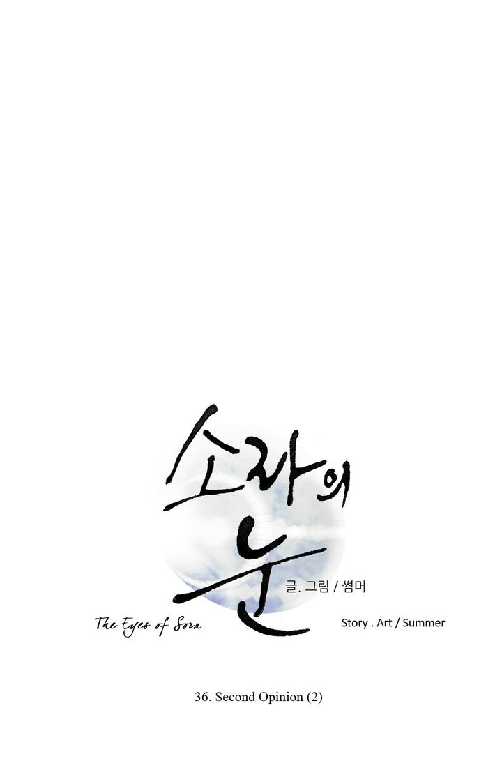 The Eyes Of Sora 36 1