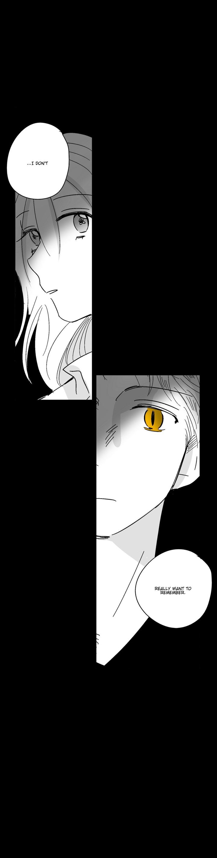 The Eyes Of Sora 36 14