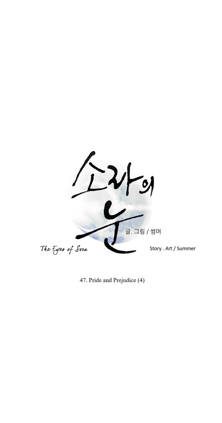 The Eyes Of Sora 47 1