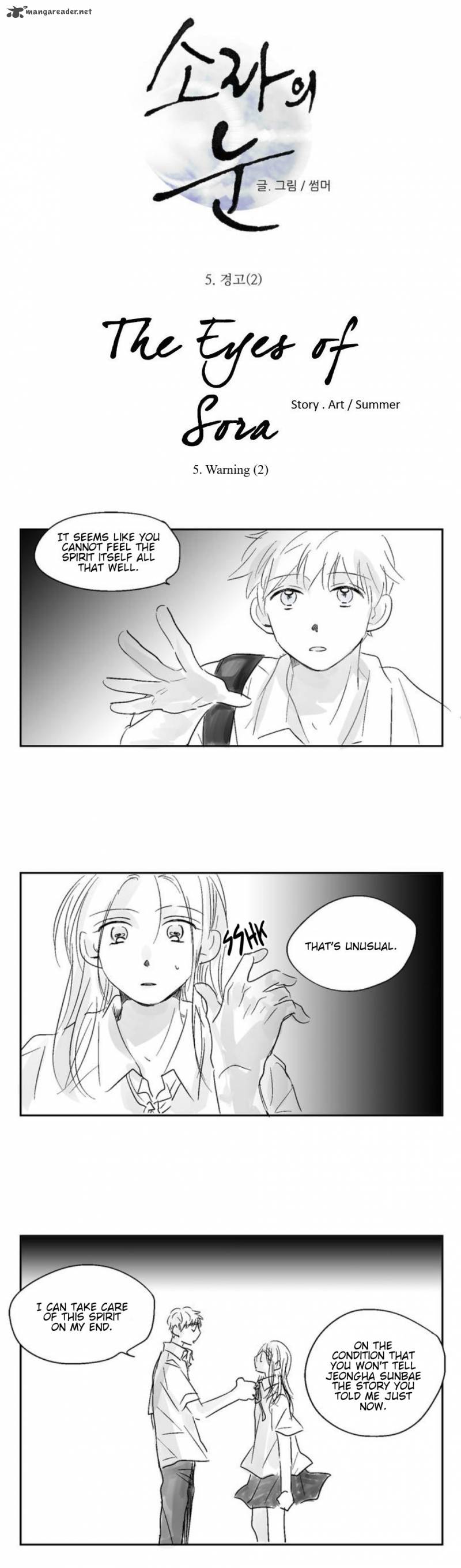 The Eyes Of Sora 5 5
