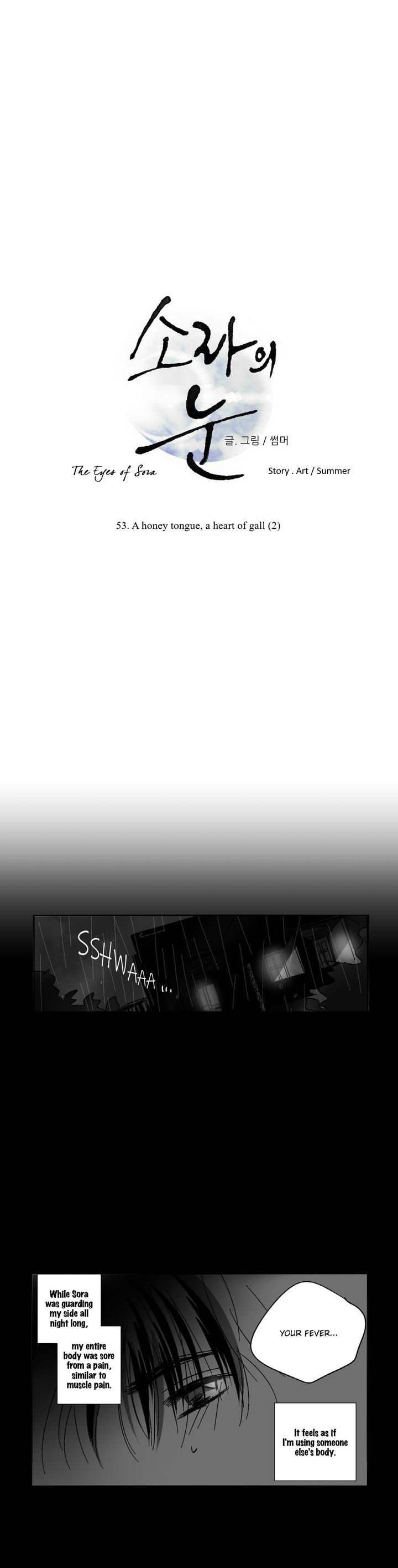 The Eyes Of Sora 53 15
