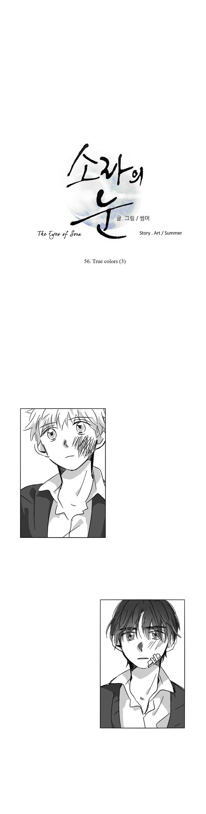 The Eyes Of Sora 56 2