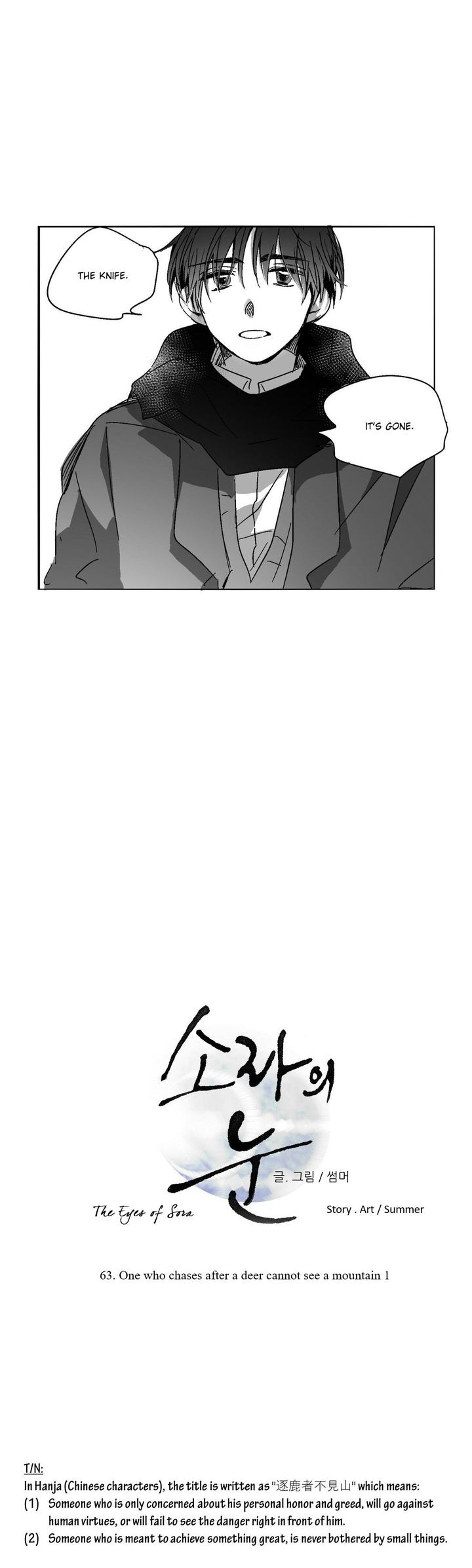 The Eyes Of Sora 63 10