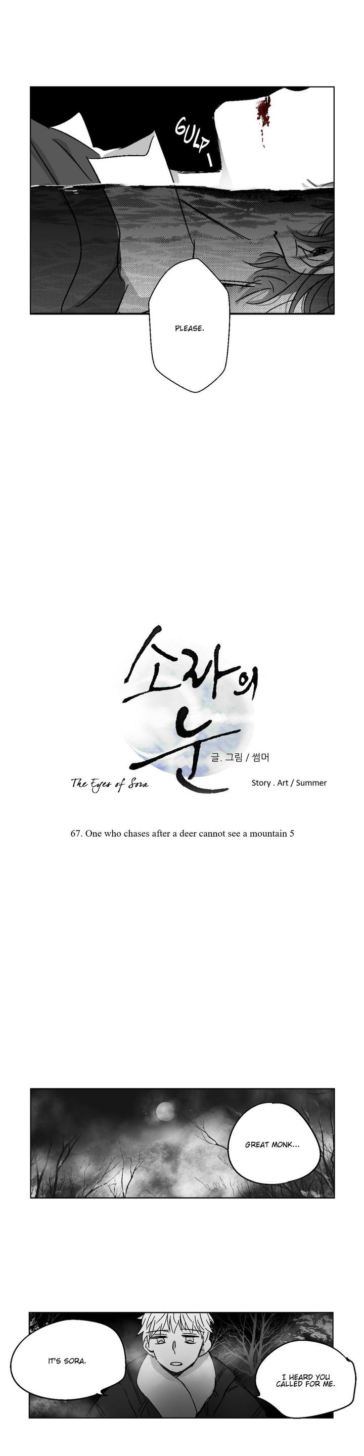 The Eyes Of Sora 67 15