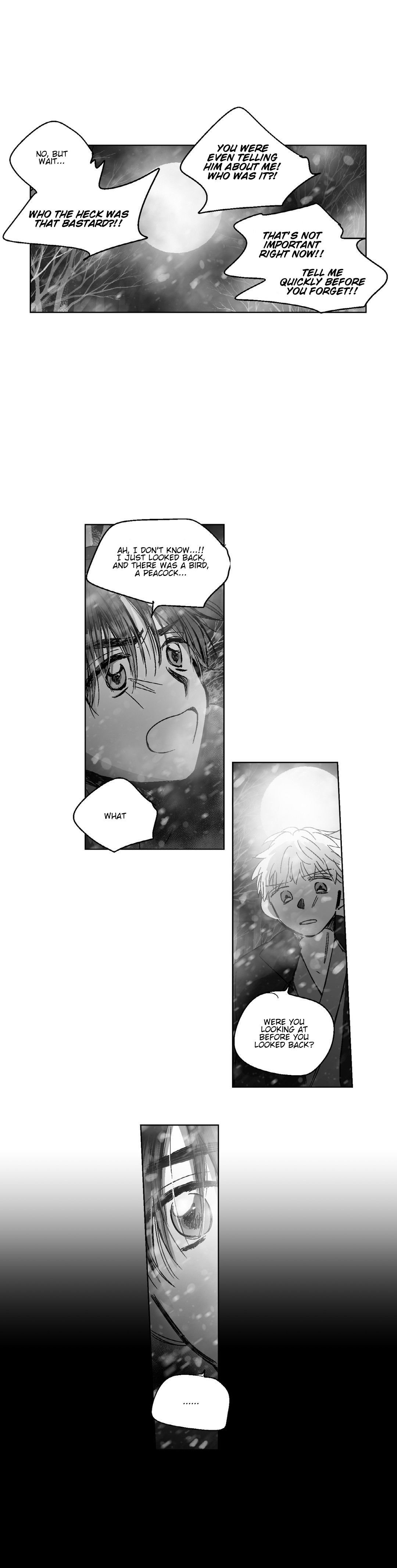 The Eyes Of Sora 80 15