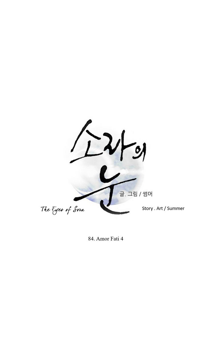 The Eyes Of Sora 84 1