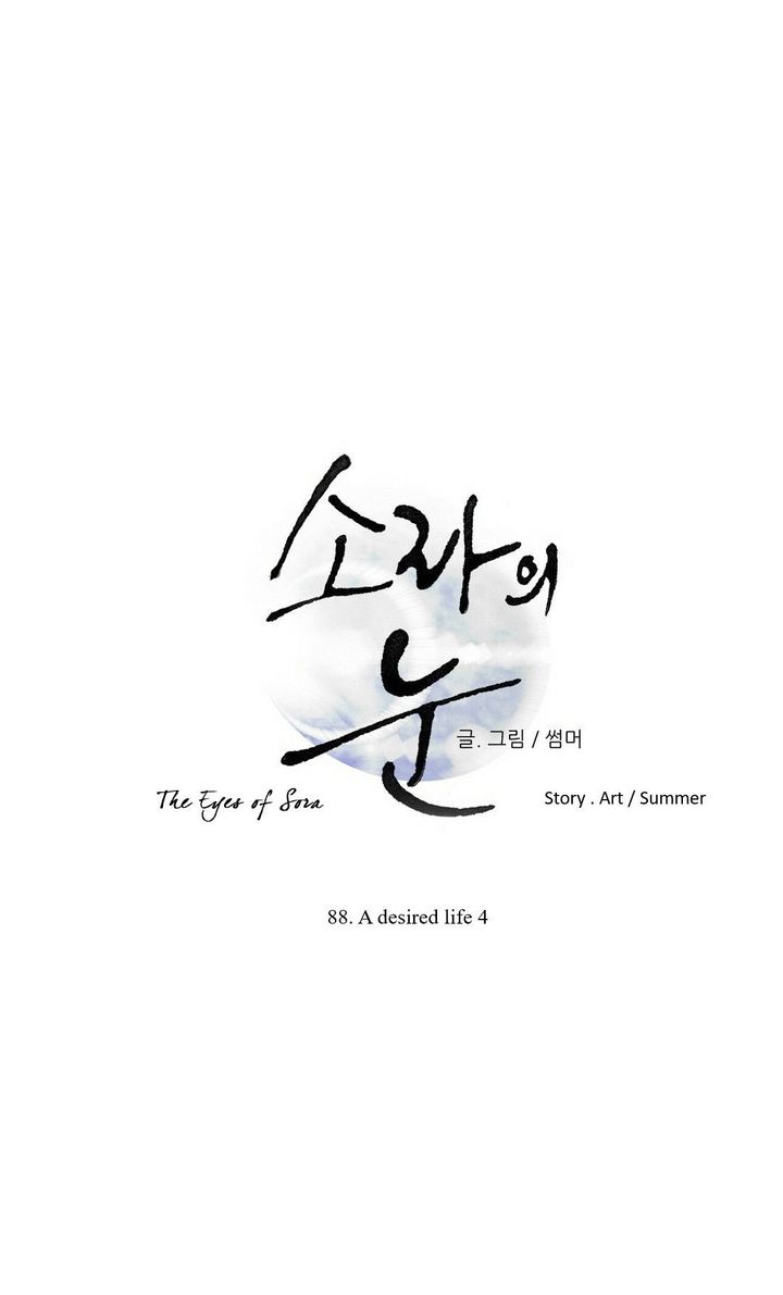 The Eyes Of Sora 88 1