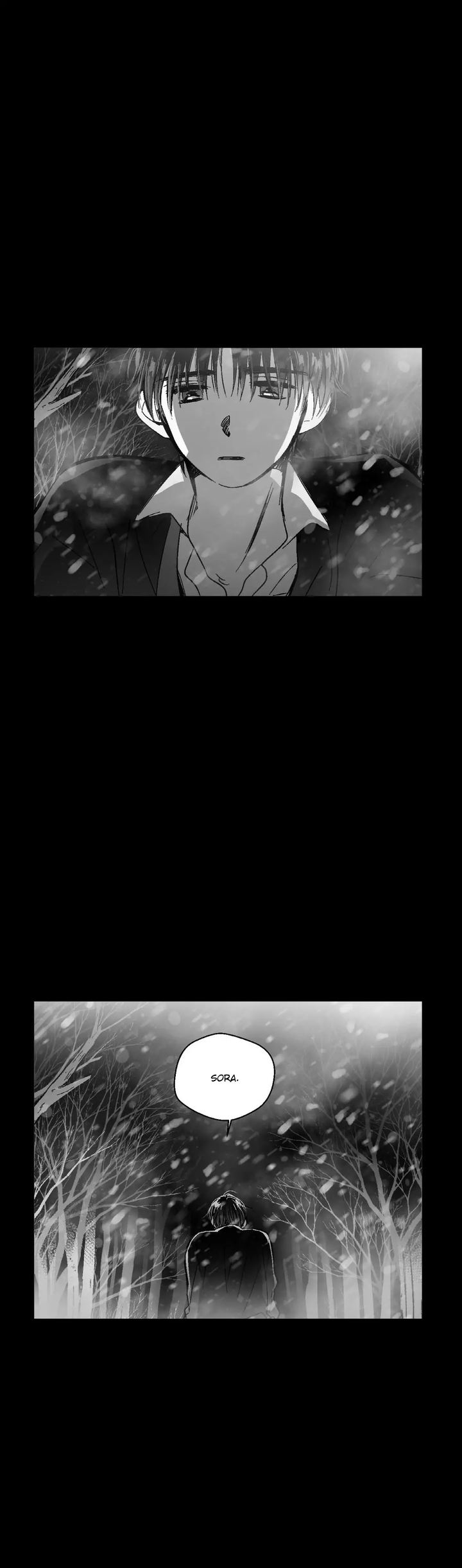 The Eyes Of Sora 94 12