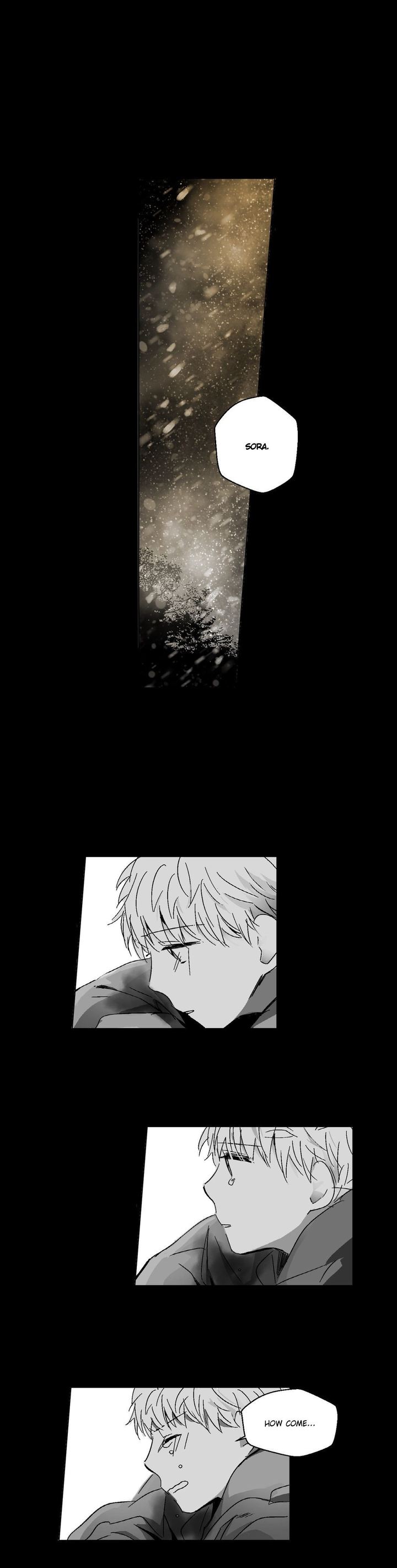 The Eyes Of Sora 96 16