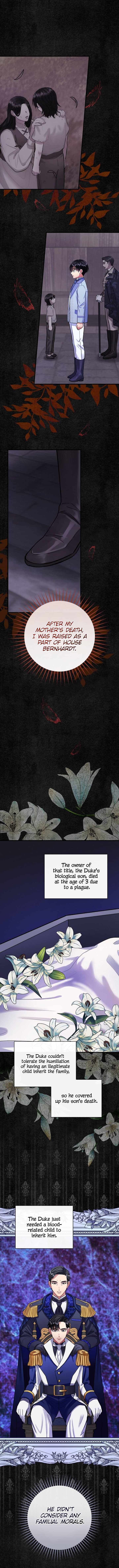 The Flower Dances And The Wind Sings 85 1