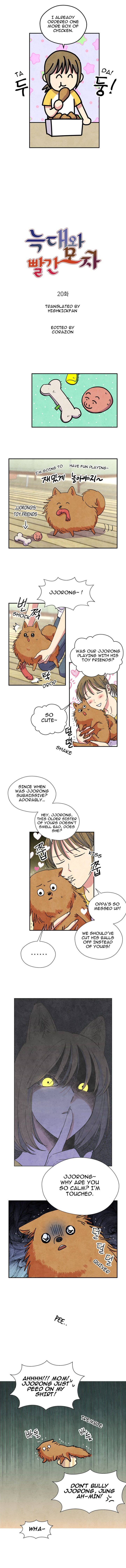 The Little Red Riding Hood 20 3