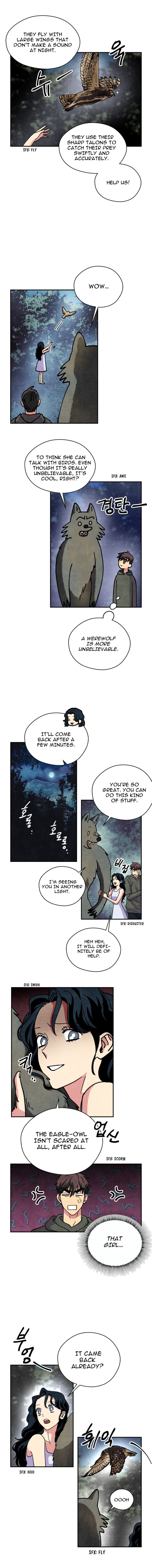 The Little Red Riding Hood 24 5