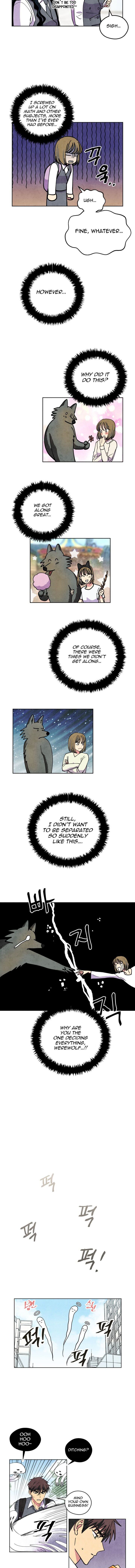 The Little Red Riding Hood 27 9