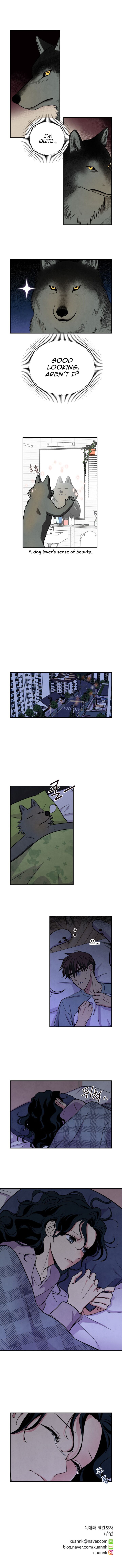 The Little Red Riding Hood 38 9