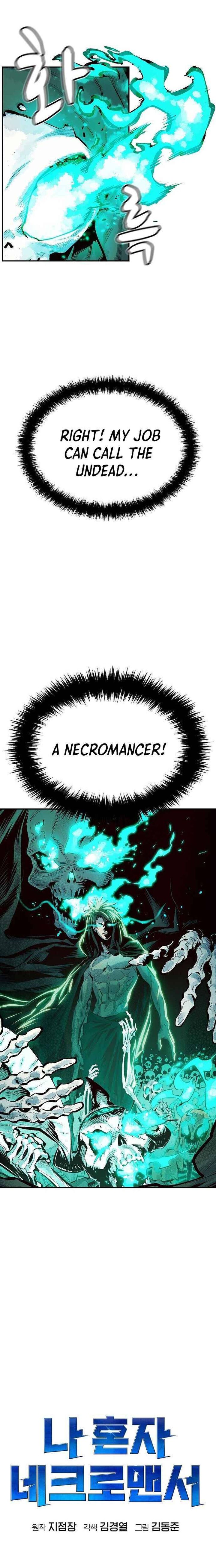 The Lone Necromancer 1 29