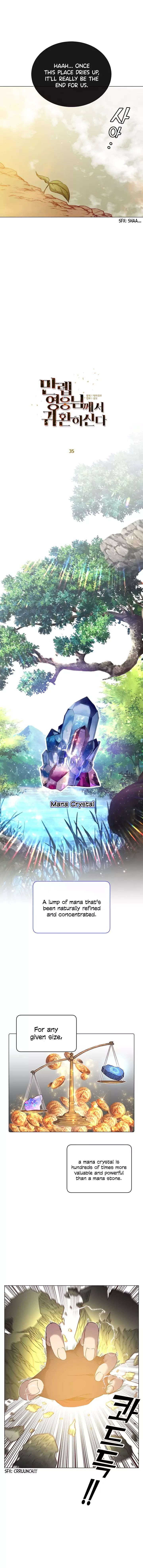 The Max Level Hero Has Returned 35 8