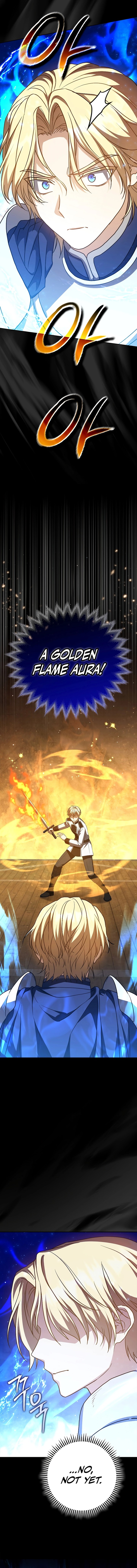 The Reincarnated Assassin Is A Swordmaster 29 2