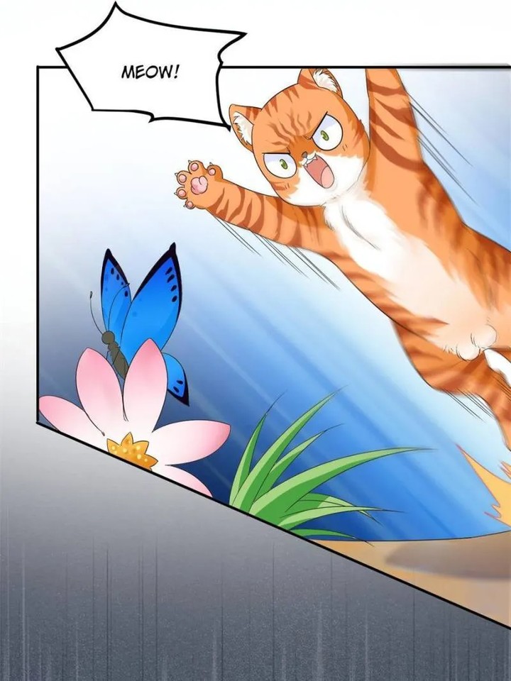 The Strong Man From The Mental Hospital 194 16