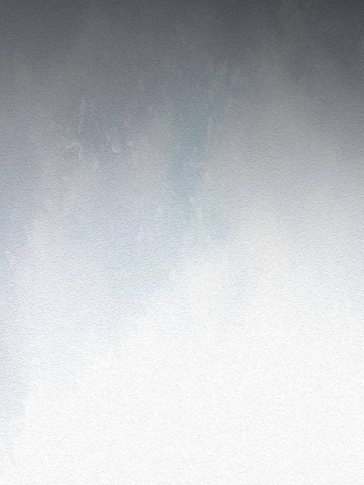 The Strong Man From The Mental Hospital 214 29