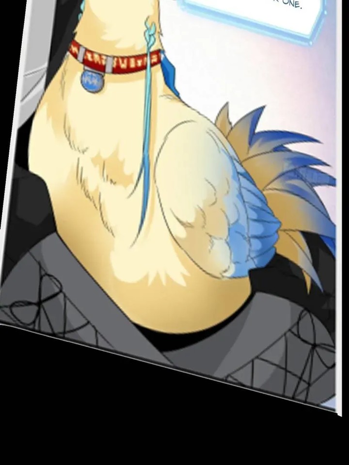 The Strong Man From The Mental Hospital 219 77