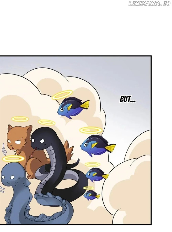 The Strong Man From The Mental Hospital 231 3