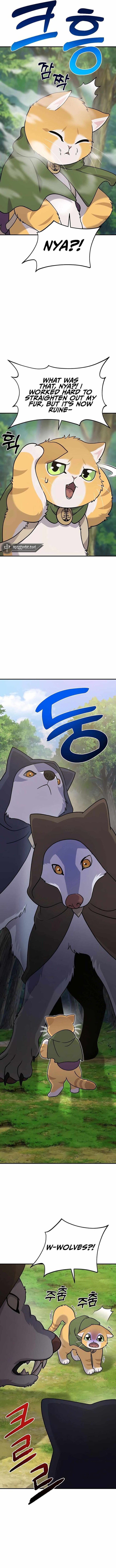 The Top Dungeon Farmer 36 5