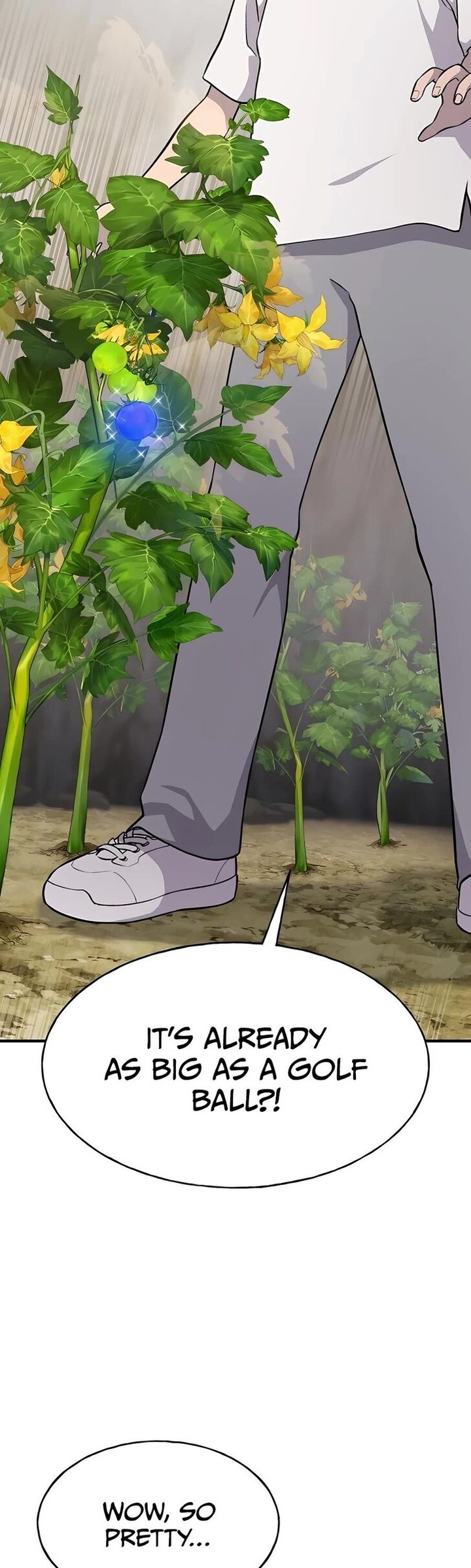 The Top Dungeon Farmer 5 25