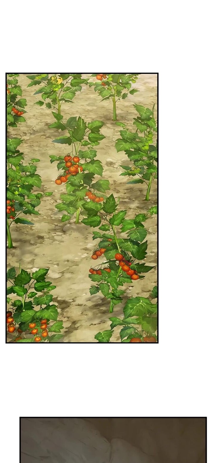 The Top Dungeon Farmer 9 38