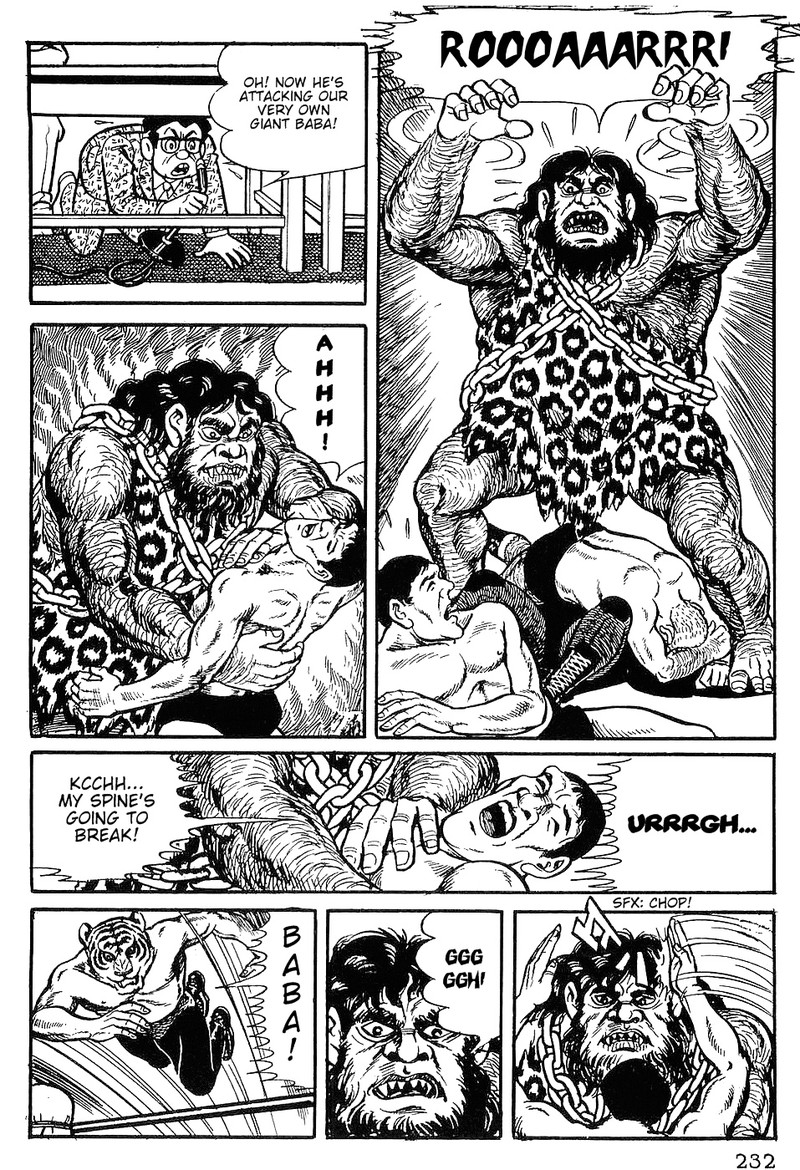 Tiger Mask 10 15