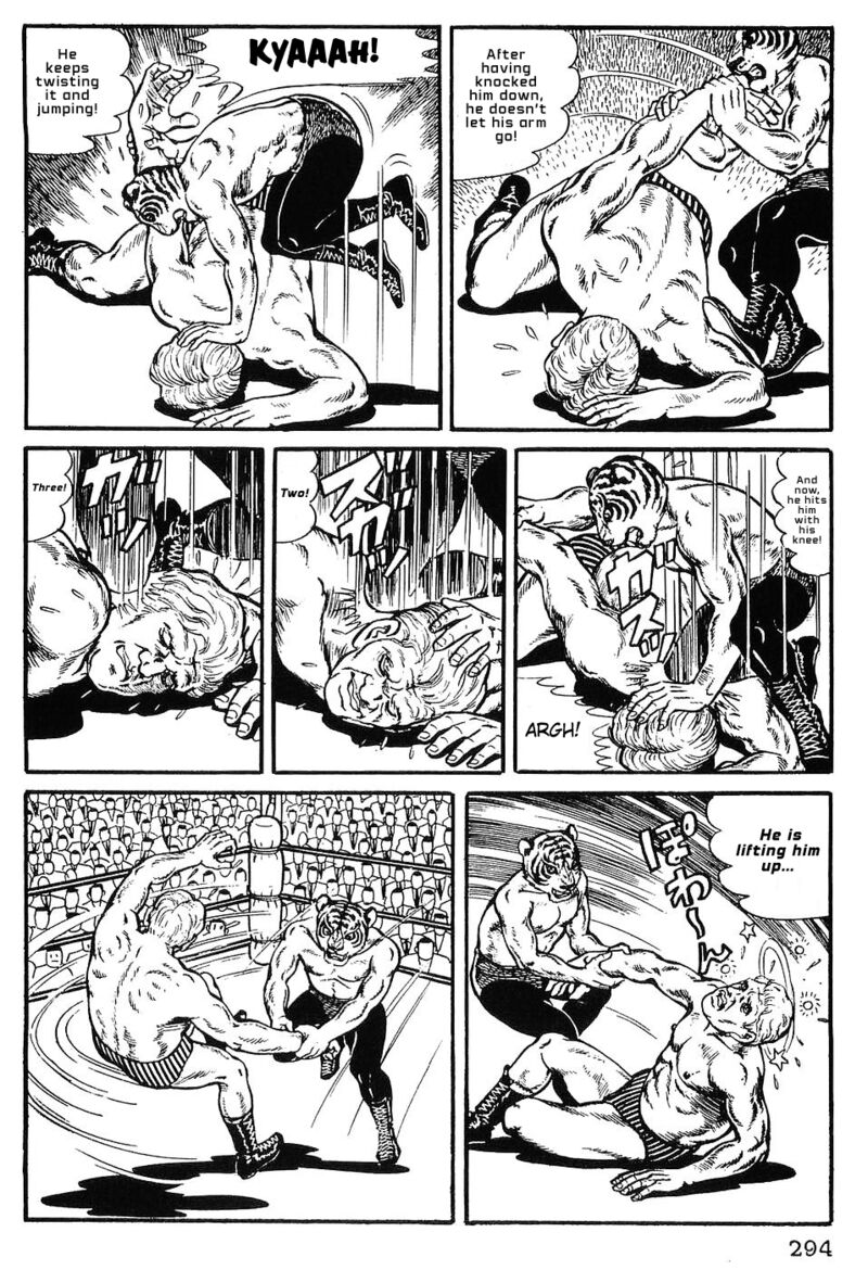 Tiger Mask 13 14