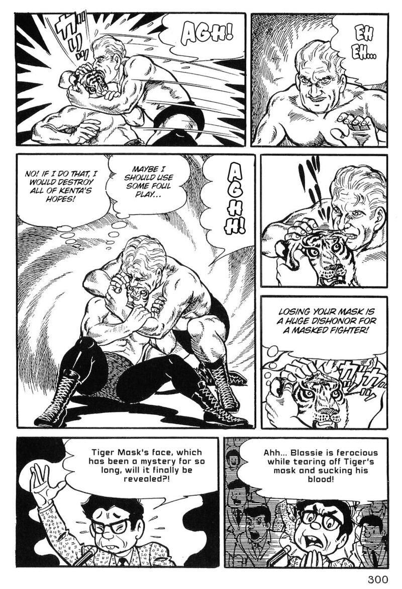 Tiger Mask 13 20