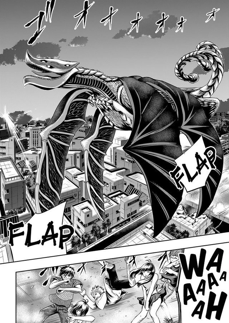 Tokyo Dragon 16 4