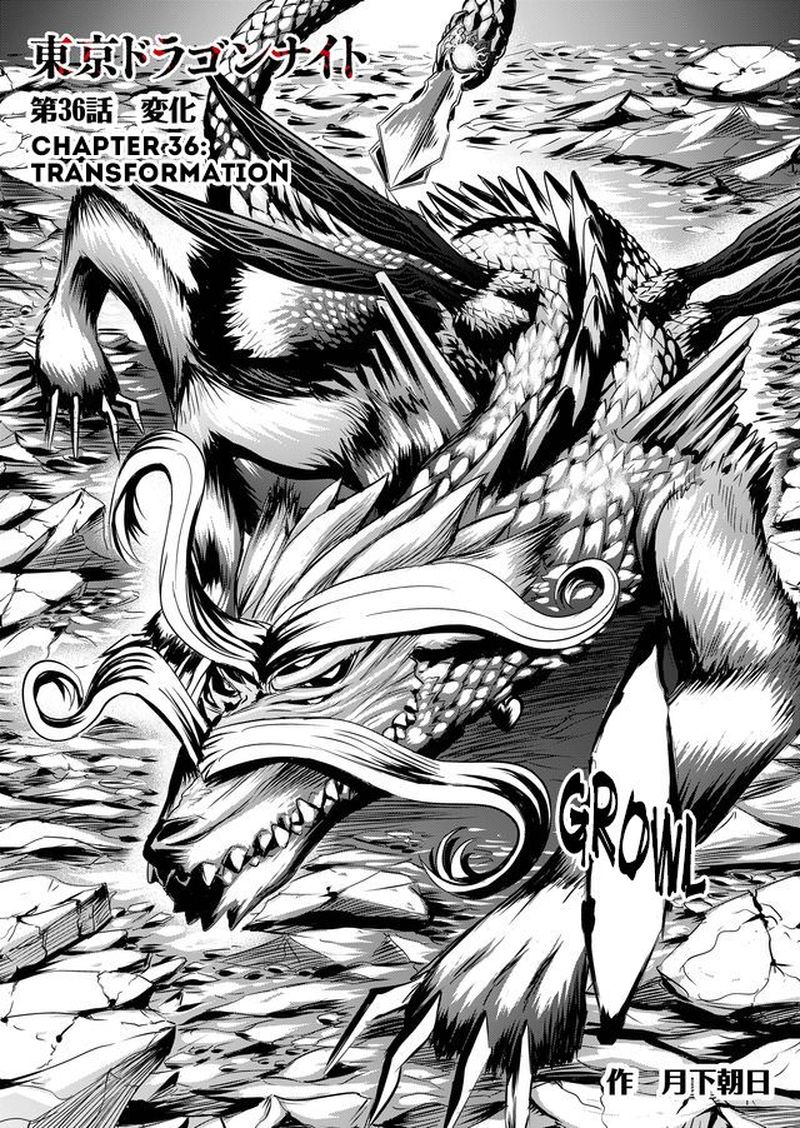 Tokyo Dragon 36 3