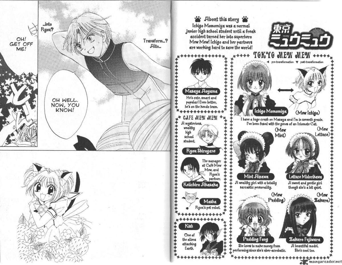 Tokyo Mew Mew 24 3