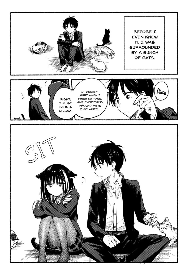 Tonari No Neko To Koi Shirazu 12a 1