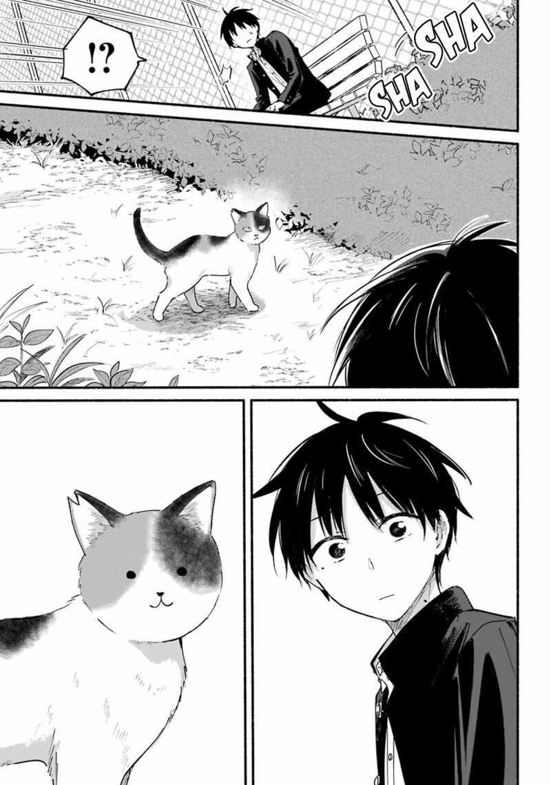 Tonari No Neko To Koi Shirazu 14 17