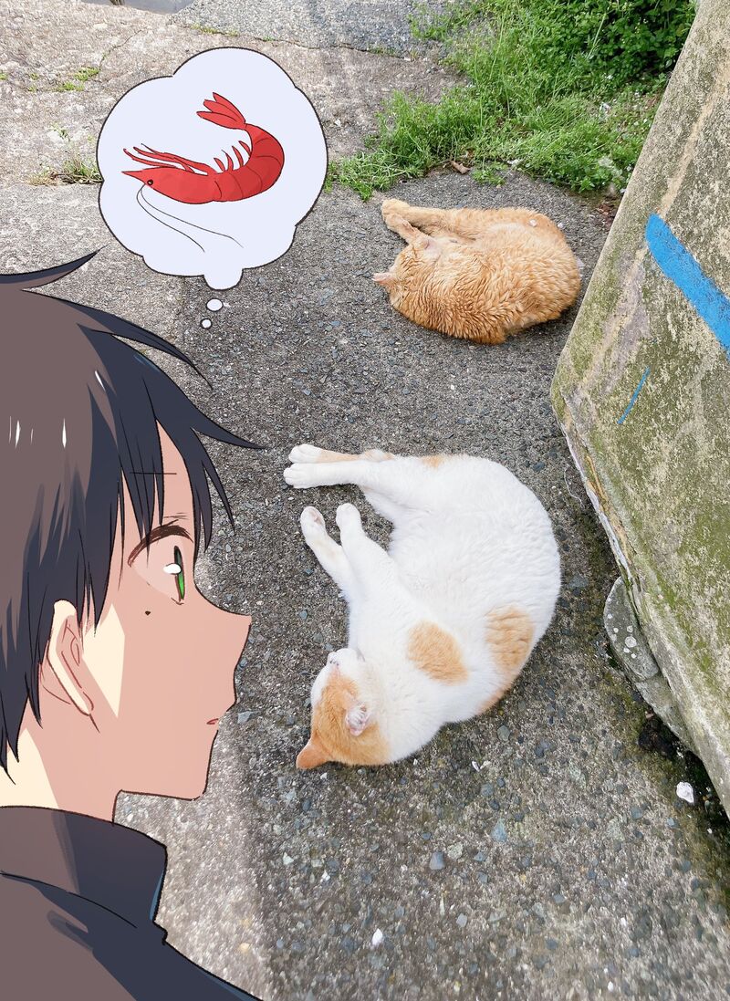 Tonari No Neko To Koi Shirazu 14a 10