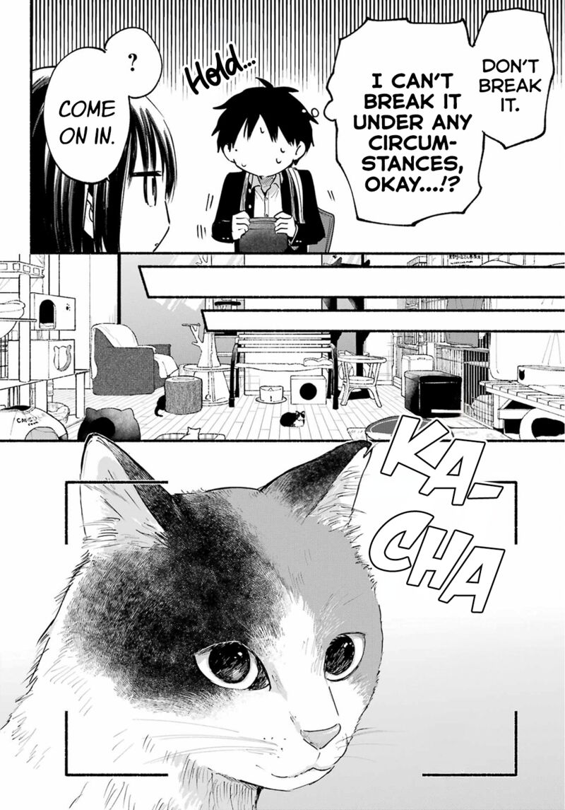 Tonari No Neko To Koi Shirazu 15 10