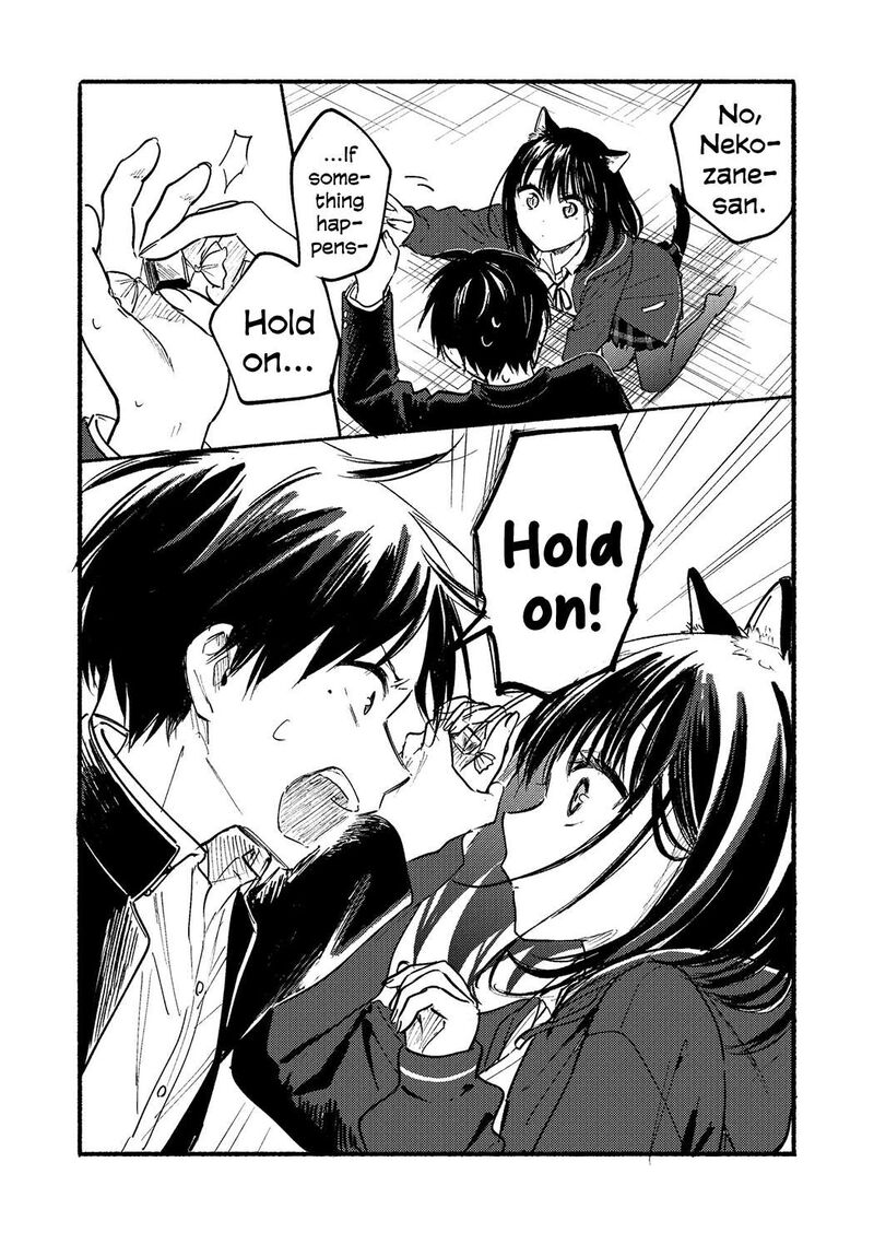 Tonari No Neko To Koi Shirazu 22a 11