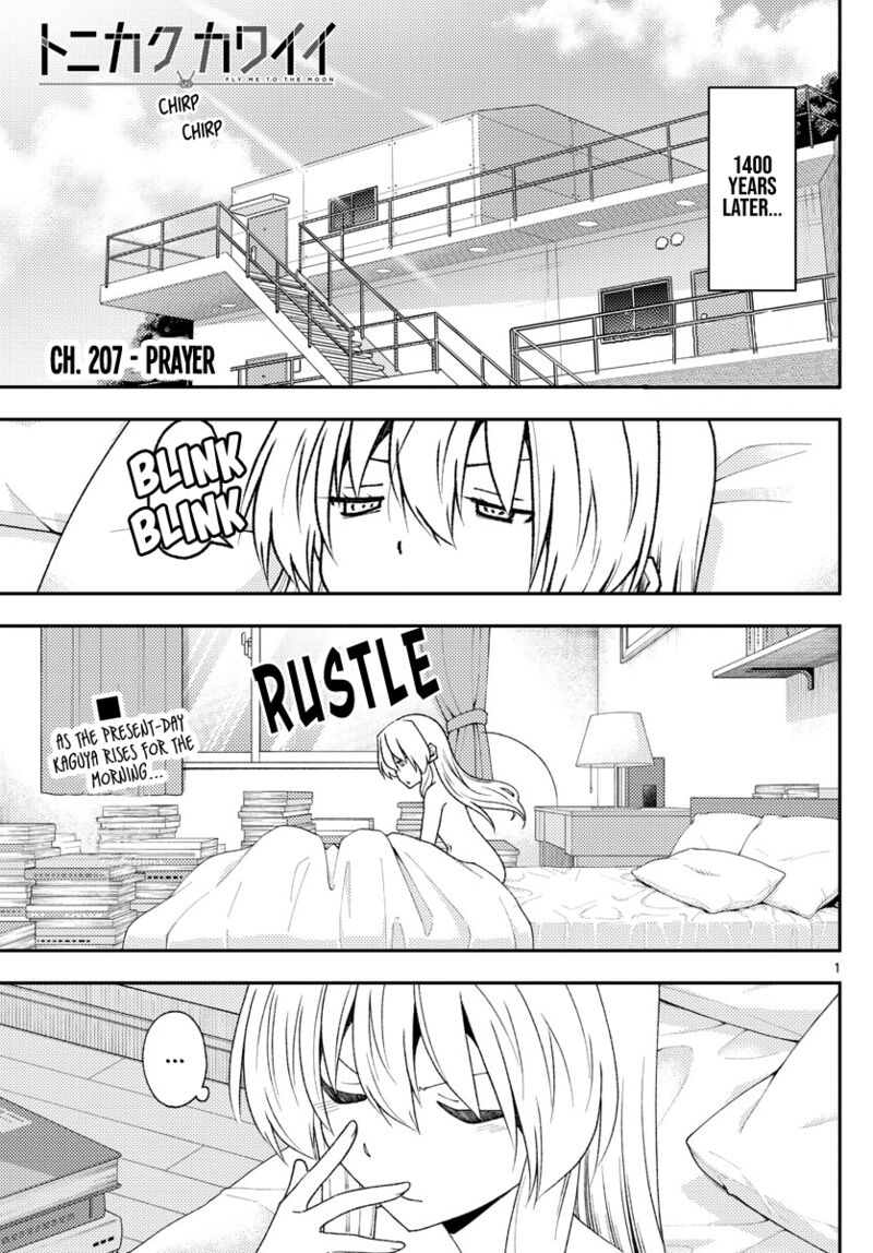 Tonikaku CawaII 207 1