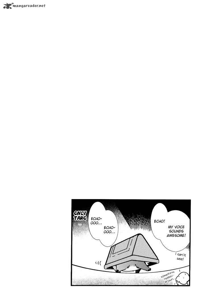 Toraneko Folklore 16 3