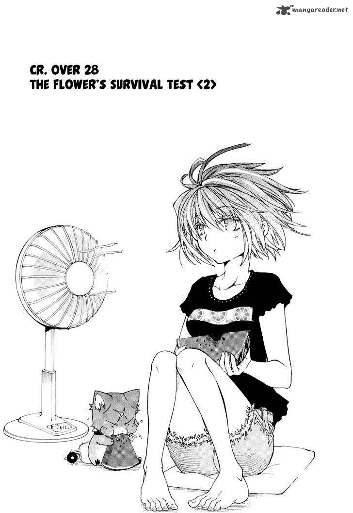 Toraneko Folklore 28 2