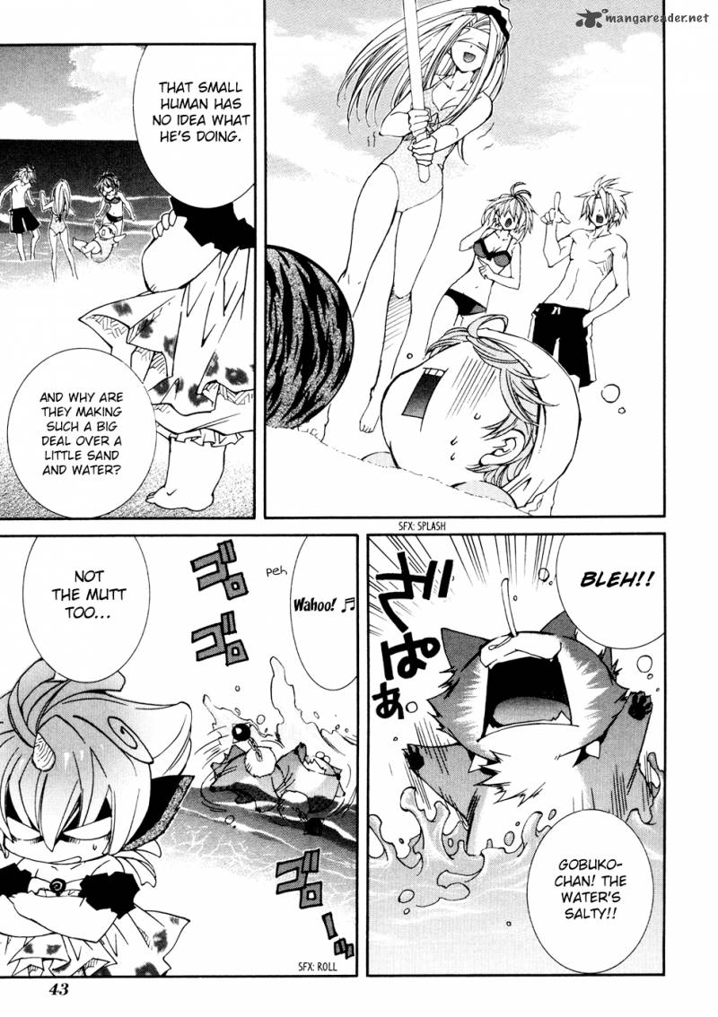 Toraneko Folklore 30 11
