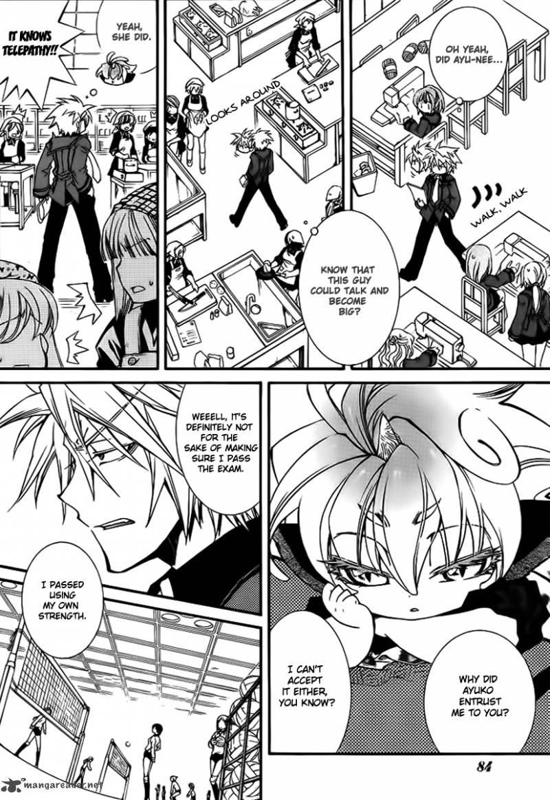 Toraneko Folklore 8 3
