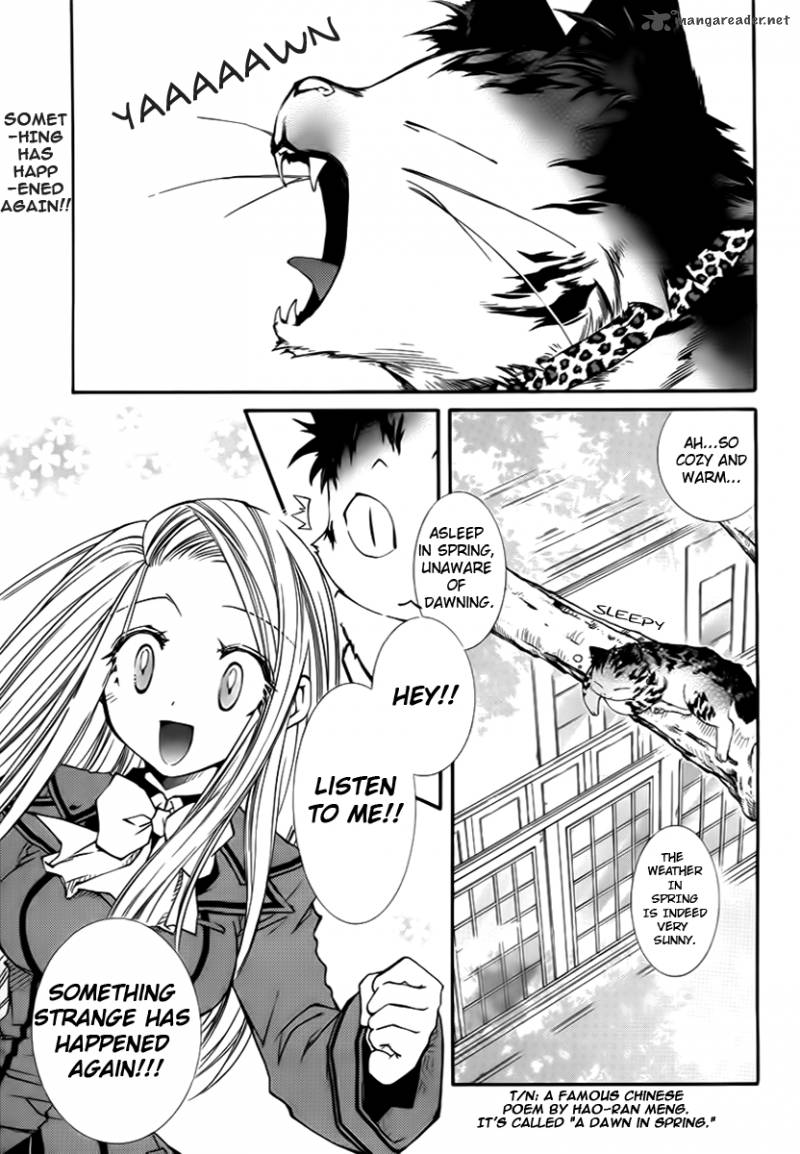 Toraneko Folklore 9 2